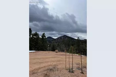 351 Dandy Jim Drive, Cripple Creek, CO 80813 - Photo 7