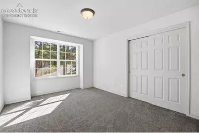 15954 Backwoods Court, Colorado Springs, CO 80921 - Photo 29
