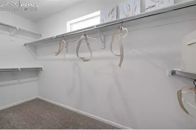 9365 Twin Sisters Drive, Colorado Springs, CO 80927 - Photo 23