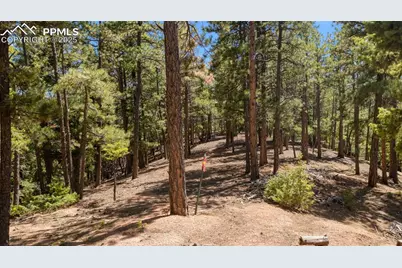 2255 Elk Park Road, Larkspur, CO 80118 - Photo 5