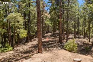 2255 Elk Park Rd, Larkspur, CO 80118 - Photo 5