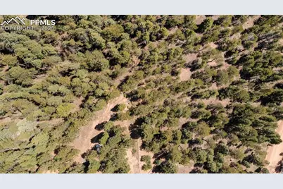 2255 Elk Park Road, Larkspur, CO 80118 - Photo 13