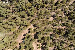 2255 Elk Park Rd, Larkspur, CO 80118 - Photo 13