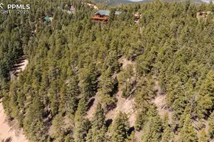 2255 Elk Park Rd, Larkspur, CO 80118 - Photo 9