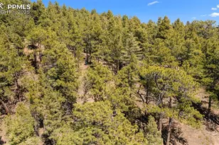 2255 Elk Park Rd, Larkspur, CO 80118 - Photo 15