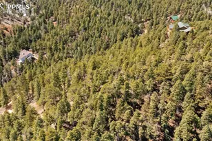 2255 Elk Park Rd, Larkspur, CO 80118 - Photo 11