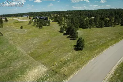 11556 Bison Meadows Court, Colorado Springs, CO 80908 - Photo 5