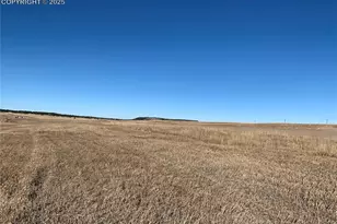 16750 Early Lgt Dr, Colorado Springs, CO 80908 - Photo 13