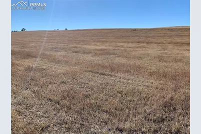 16750 Early Light Drive, Colorado Springs, CO 80908 - Photo 11