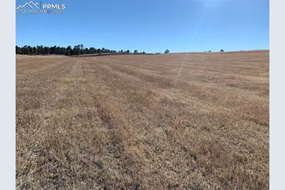 16750 Early Light Drive, Colorado Springs, CO 80908 - Photo 9