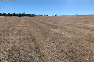 16750 Early Lgt Dr, Colorado Springs, CO 80908 - Photo 9