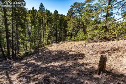 Tbd Arrowhead Road, Florissant, CO 80816 - Photo 13