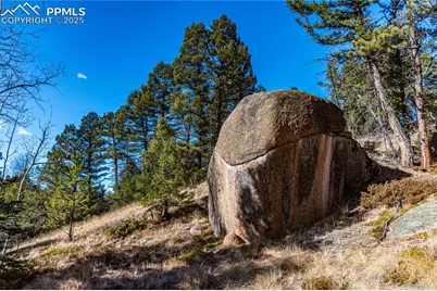 Tbd Arrowhead Road, Florissant, CO 80816 - Photo 7