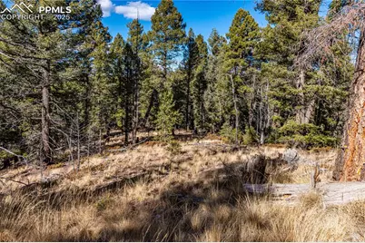 Tbd Arrowhead Road, Florissant, CO 80816 - Photo 19