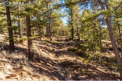 Tbd Arrowhead Road, Florissant, CO 80816 - Photo 21