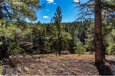 Tbd Arrowhead Road, Florissant, CO 80816 - Photo 11