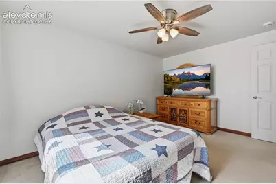 1113 Browning Avenue, Woodland Park, CO 80863 - Photo 23
