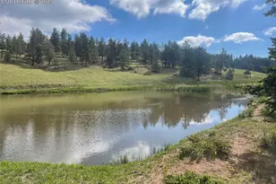 247 Pinewood Rd, Florissant, CO 80816 - Photo 5