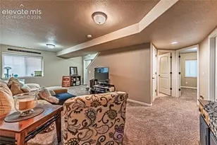 6668 Dark Oak View, Colorado Springs, CO 80923 - Photo 23