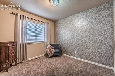 6668 Dark Oak View, Colorado Springs, CO 80923 - Photo 21