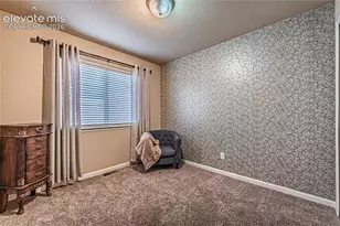 6668 Dark Oak View, Colorado Springs, CO 80923 - Photo 21