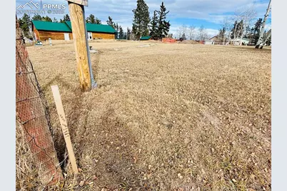 799 Elfin Glen Drive, Divide, CO 80814 - Photo 9