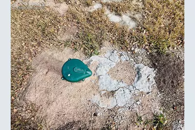 799 Elfin Glen Drive, Divide, CO 80814 - Photo 7