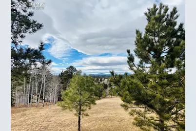 799 Elfin Glen Drive, Divide, CO 80814 - Photo 5