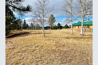 799 Elfin Glen Drive, Divide, CO 80814 - Photo 1