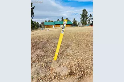 799 Elfin Glen Drive, Divide, CO 80814 - Photo 13