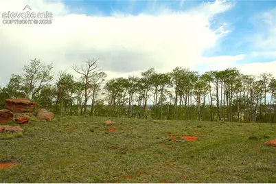 20400 Highway 285, Fairplay, CO 80440 - Photo 15