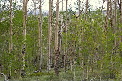 20400 Highway 285, Fairplay, CO 80440 - Photo 13