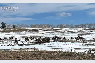 20400 Highway 285, Fairplay, CO 80440 - Photo 3