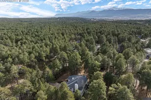 50 Long Bow Cir, Monument, CO 80132 - Photo 33