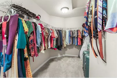 8294 Thedford Court, Peyton, CO 80831 - Photo 33