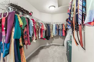 8294 Thedford Ct, Peyton, CO 80831 - Photo 33