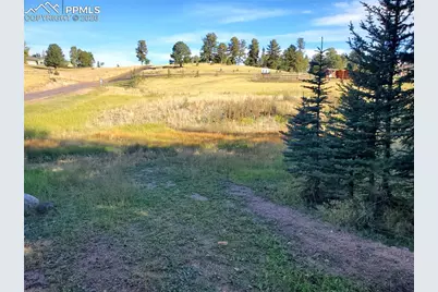 309 Pinaceae Heights, Divide, CO 80814 - Photo 19