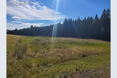 309 Pinaceae Heights, Divide, CO 80814 - Photo 3