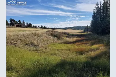 309 Pinaceae Heights, Divide, CO 80814 - Photo 9