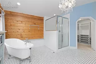 1910 Wildhorn Rd, Florissant, CO 80816 - Photo 19