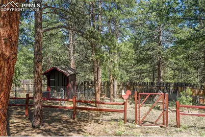 34 Piute Circle, Florissant, CO 80816 - Photo 7