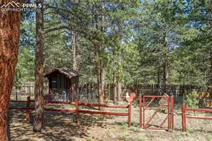 34 Piute Cir, Florissant, CO 80816 - Photo 7