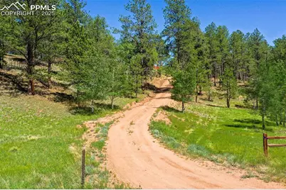 34 Piute Circle, Florissant, CO 80816 - Photo 47