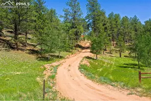 34 Piute Cir, Florissant, CO 80816 - Photo 47