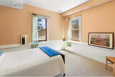 34 Piute Circle, Florissant, CO 80816 - Photo 37