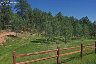 34 Piute Cir, Florissant, CO 80816 - Photo 9