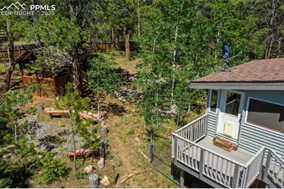34 Piute Circle, Florissant, CO 80816 - Photo 3