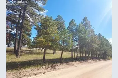 13395 Frank Road, Colorado Springs, CO 80908 - Photo 3