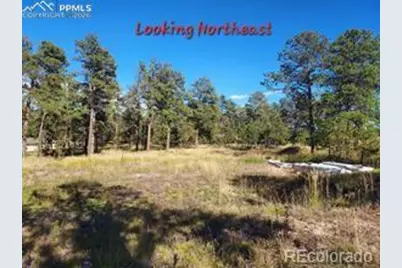 13395 Frank Road, Colorado Springs, CO 80908 - Photo 1