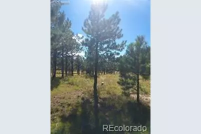 13395 Frank Road, Colorado Springs, CO 80908 - Photo 9